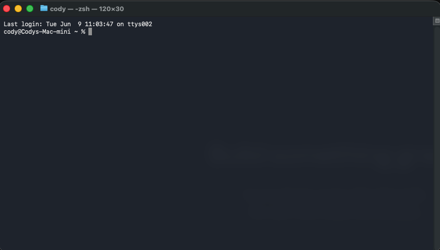 A blank terminal window